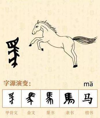 初字是吉还是凶截图3
