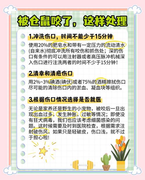 手指被仓鼠咬了危险吗