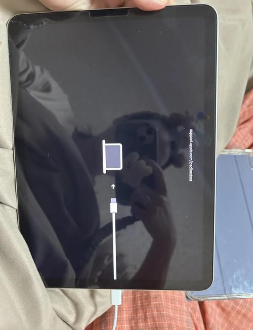 ipad突然黑屏开不了机截图2