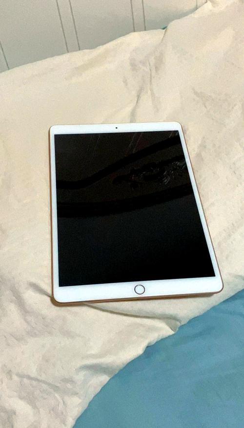 ipad突然黑屏开不了机截图3