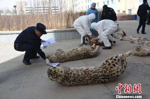 铁驴最后被谁杀的截图2
