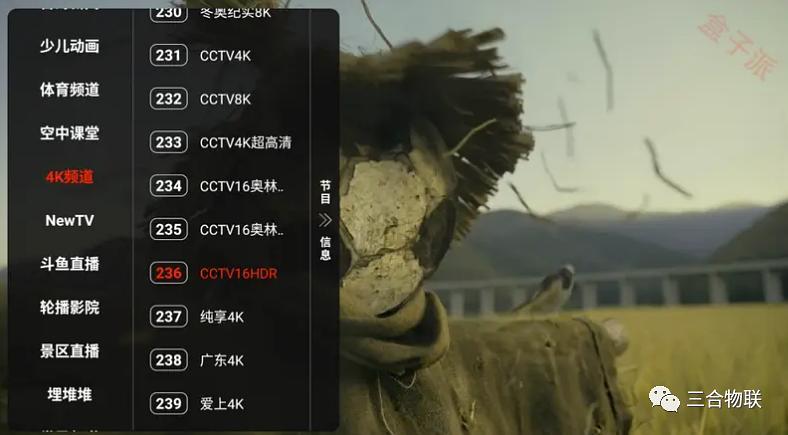 火星tv直播纯净版