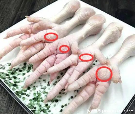 掌中宝是什么部位图片