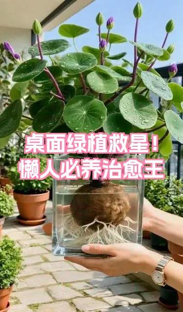 电脑桌面任务栏下沉了