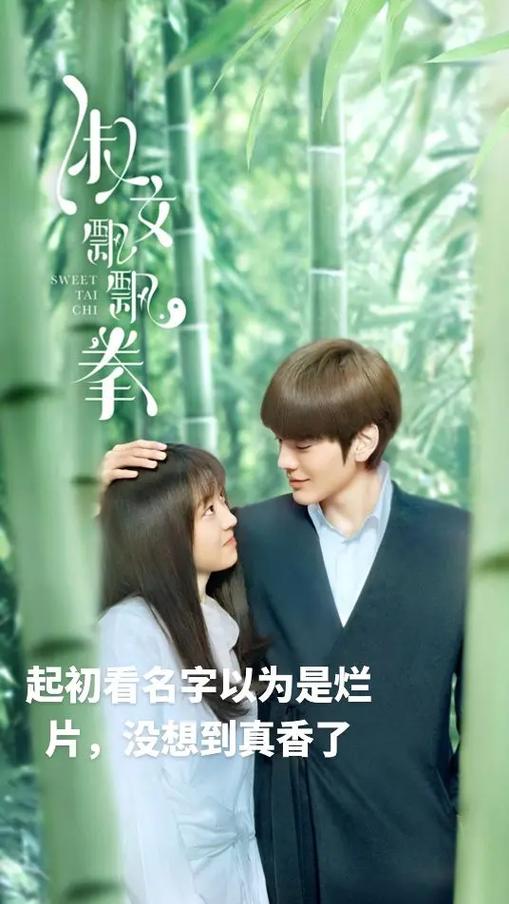 飘飘淑女拳黑衣人