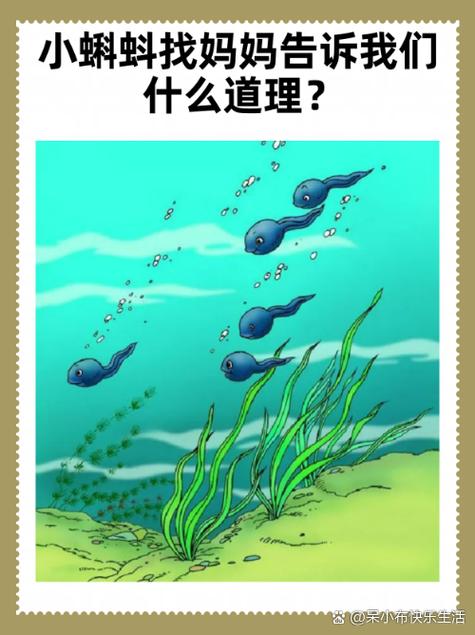 小蝌蚪免费版安装包无付费最新版截图1