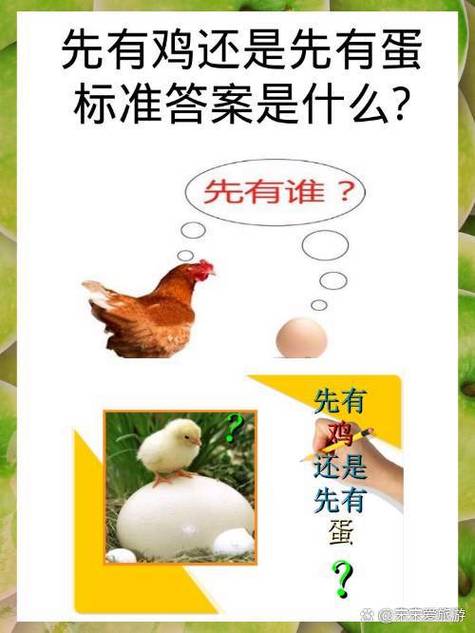 1月16号小鸡宝宝答案
