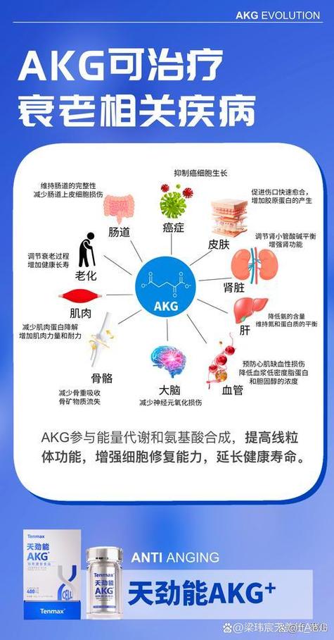 akg的功效与作用 akg的功效与作用