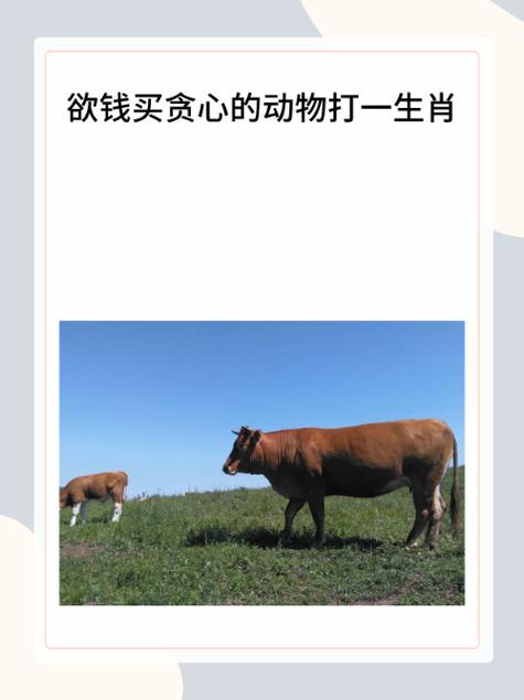 牛屁不通正确答案的动物