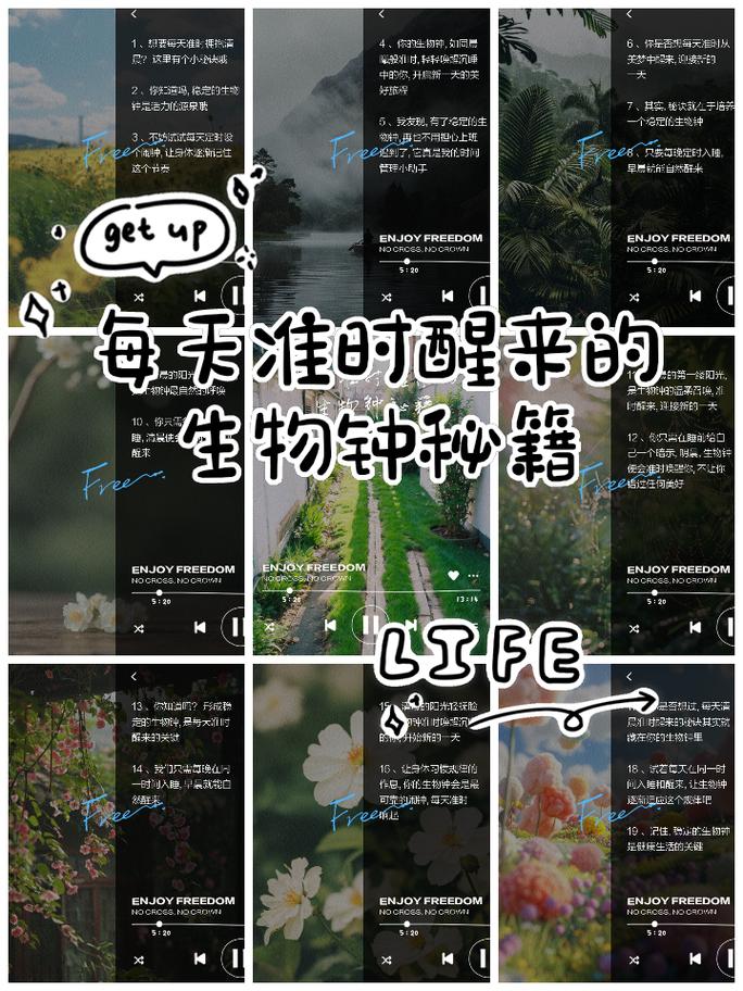生物钟正确答案