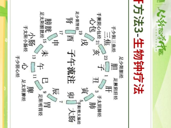 生物钟正确答案截图3