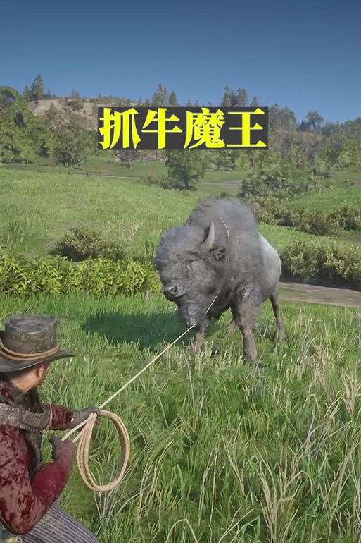 荒野大镖客2完美野牛