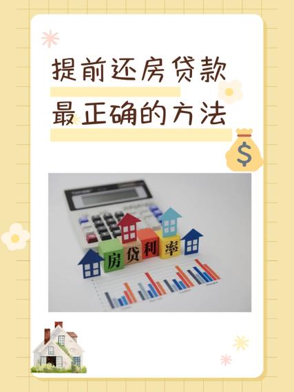 新大米贷app
