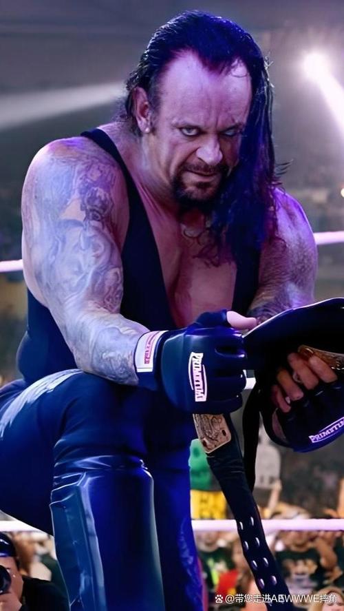 WWE美国职业摔角