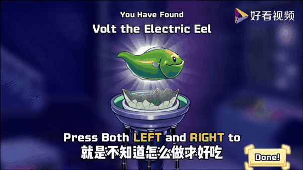八爪鱼蛋 八爪鱼蛋