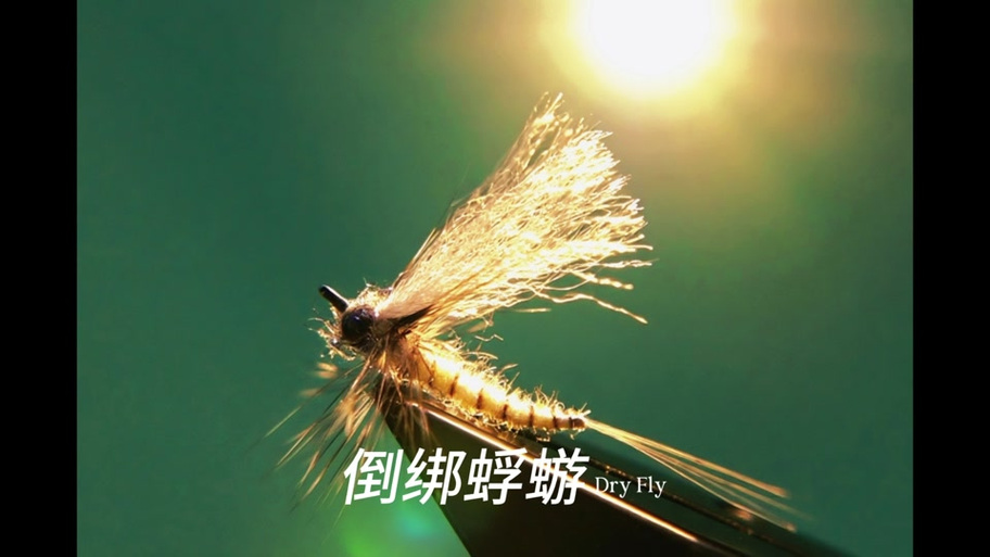 蜉蝣0.2