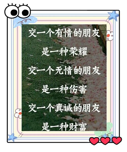 真心聊陌生交友软件