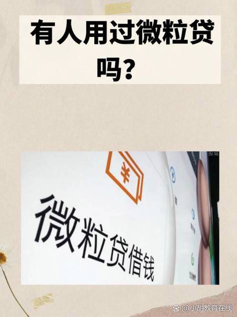 微粒网贷款截图2