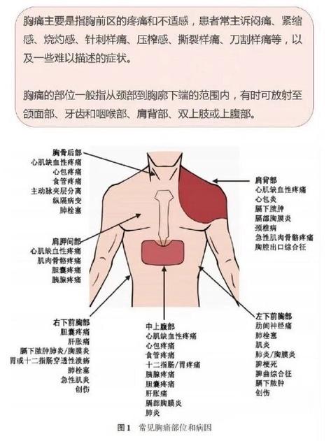 男性右侧疼痛对照表