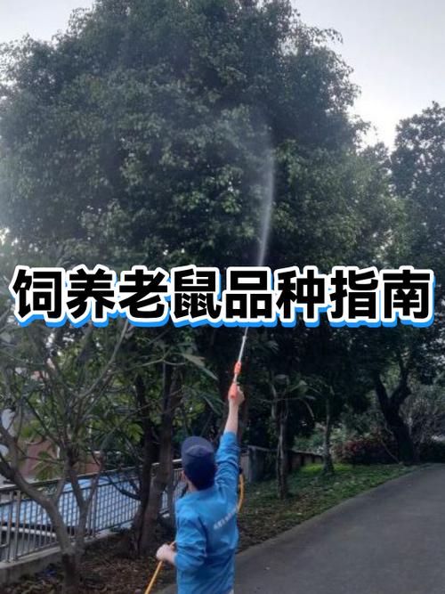 为什么不建议养小白鼠