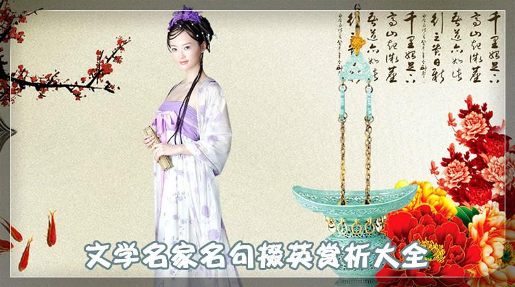 赞美才子佳人的诗句