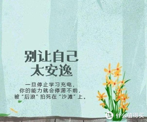 该努力的年龄选择安逸的句子