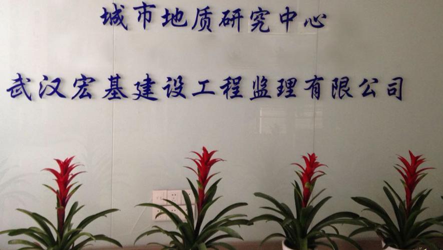武汉十大监理公司排名