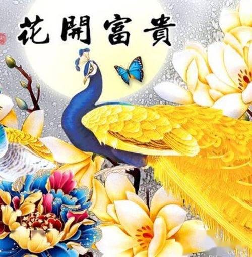花开富贵图片微信