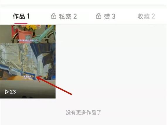 快手极速版怎么看不到别人的播放量