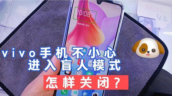 vivo强制退出盲人模式