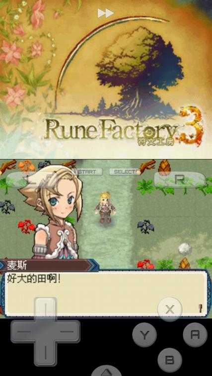 符文工房3加基结婚