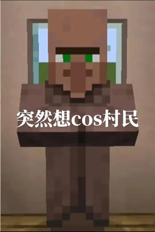 我的世界怎么治愈村民截图3