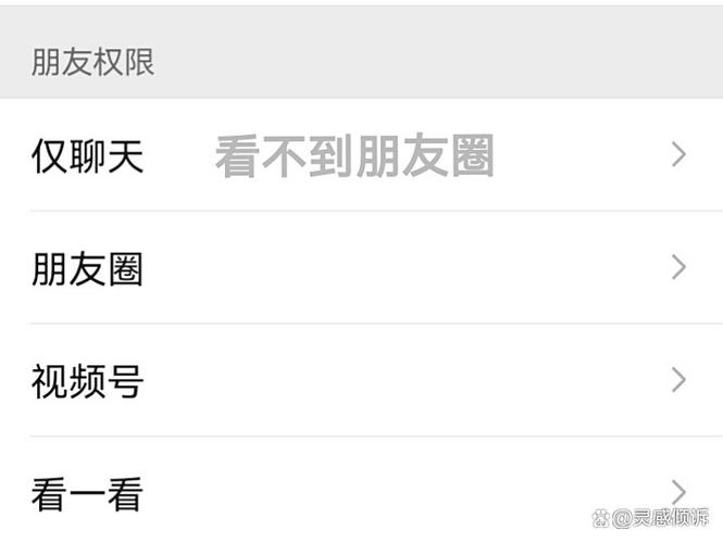 仅聊天模式对方看得到朋友圈吗截图3