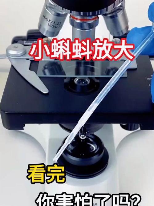 iPad放大镜