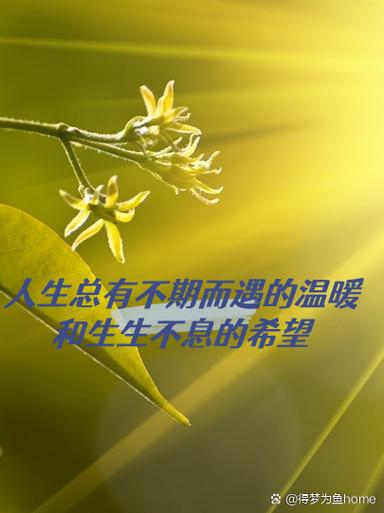 可充电灯泡