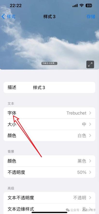 苹果上调整字体大小的方法
