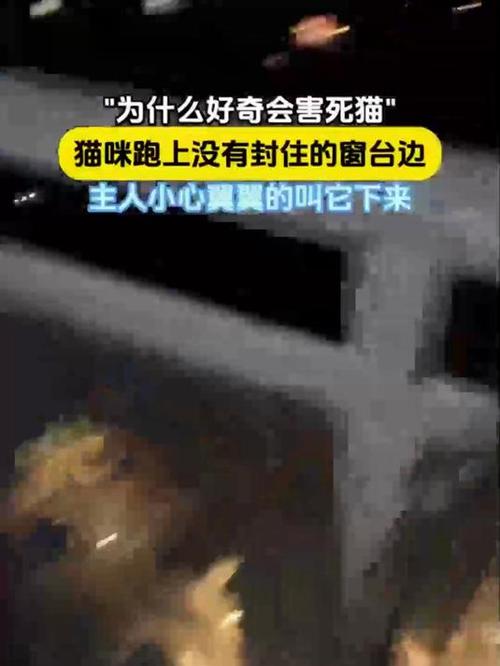 好奇会有什么后果截图3