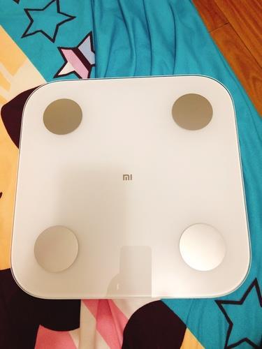 小米体脂秤2能测体脂吗截图3