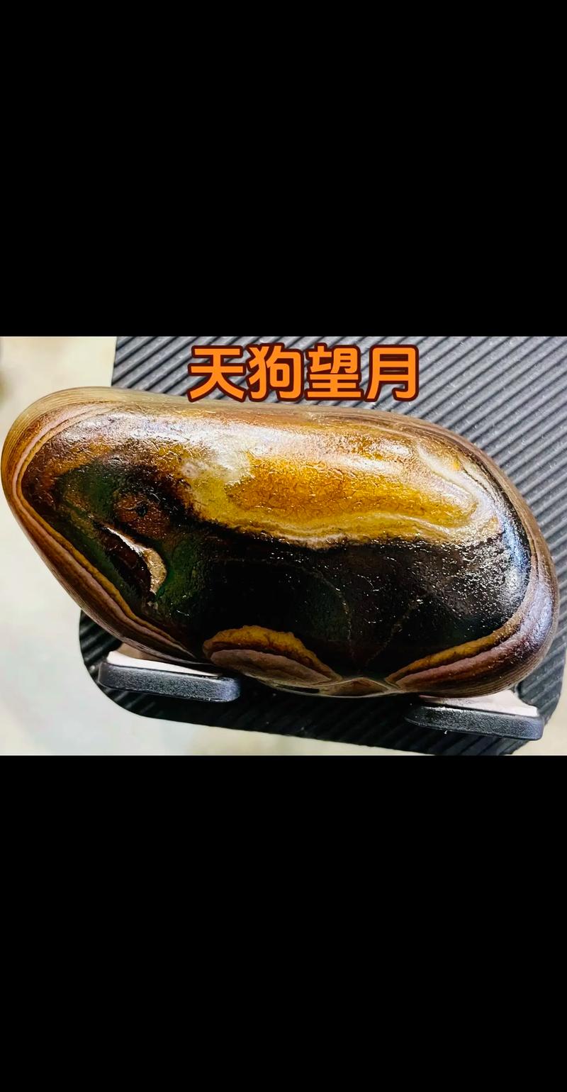 8001天狗望月图 8001天狗望月图