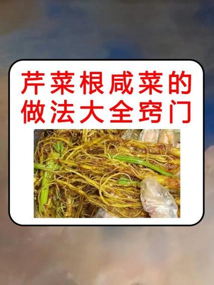 撇菜根是折耳根吗