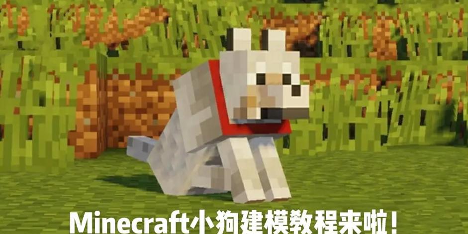 我的世界怎么驯服小狗