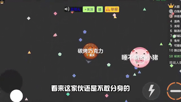 球球大作战颜色名字黑色