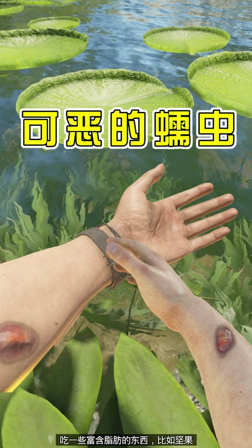 绿色地狱蜘蛛