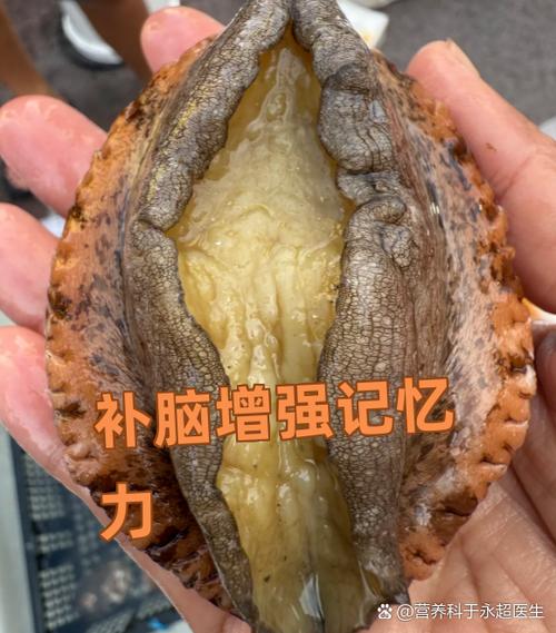 记忆力差怎么补最快最有效截图3