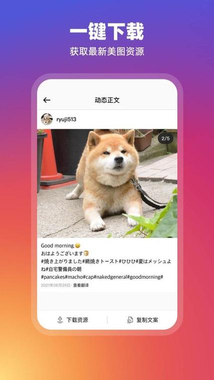 instagram安卓版