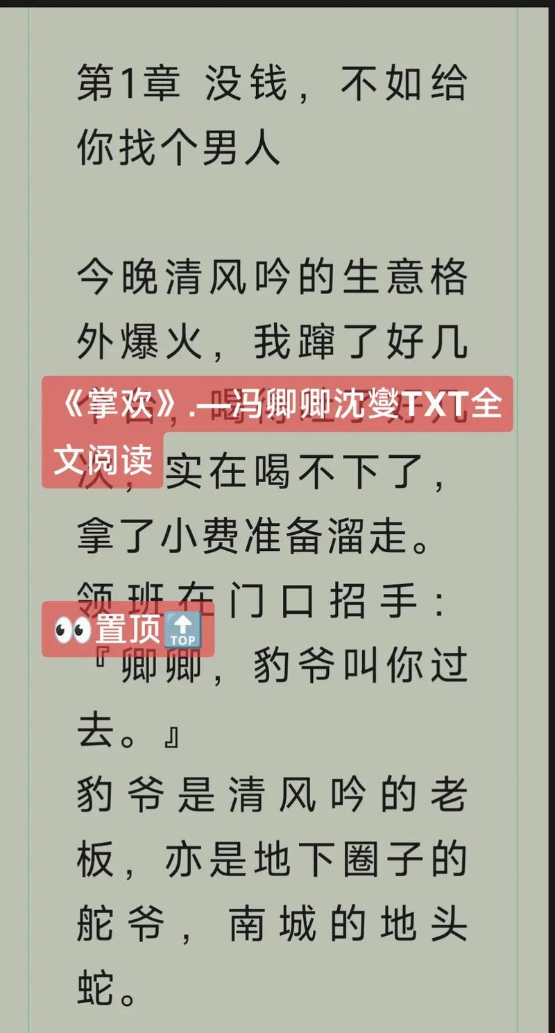 掌欢全文免费阅读最新章节