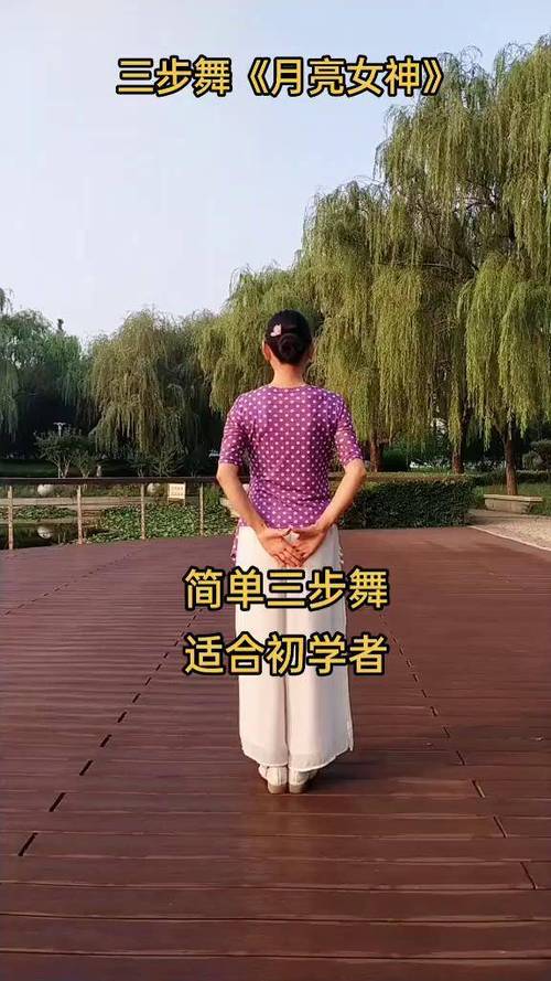 三步舞初学视频教程 三步舞初学视频教程