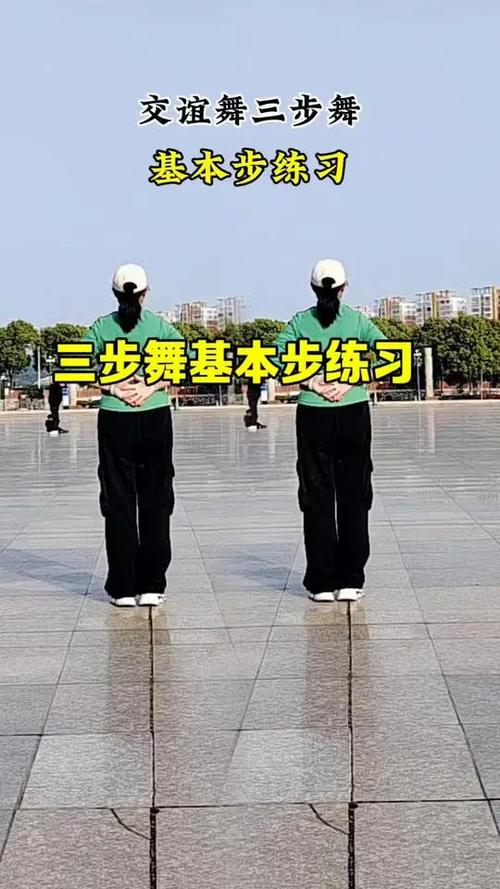 三步舞初学视频教程截图2