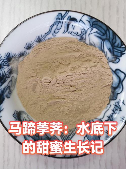 边境之旅马蹄
