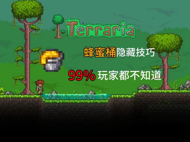 泰拉瑞亚蜂蜜罐怎么弄截图3